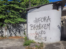 imagem noticia