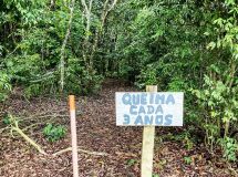 imagem noticia