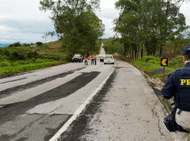 imagem noticia