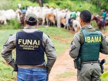 imagem noticia