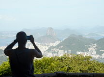 imagem noticia