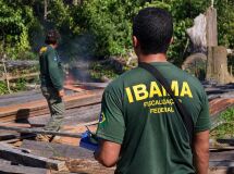imagem noticia
