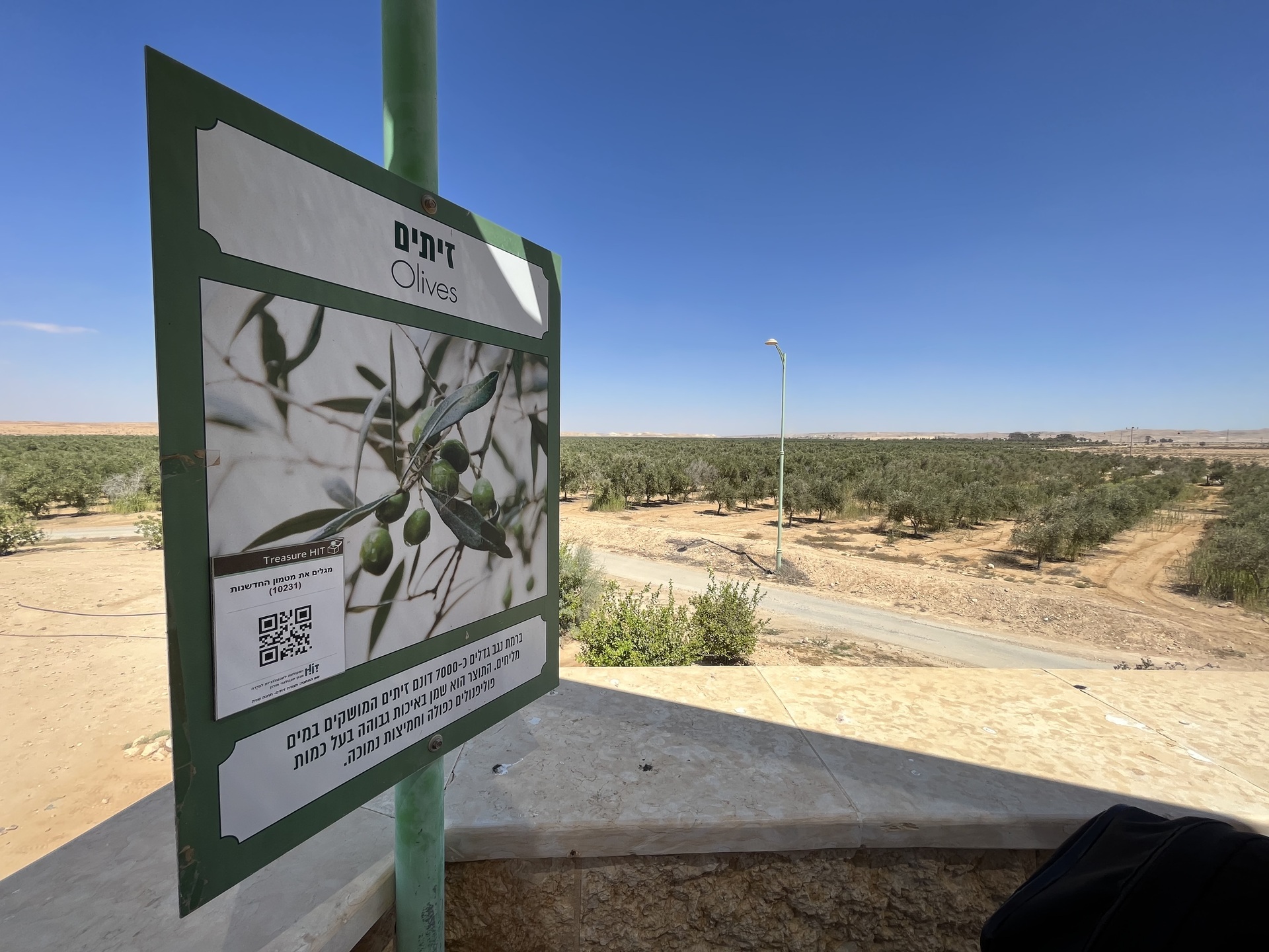 Centro de Agropesquisa do Deserto de Ramat Negev