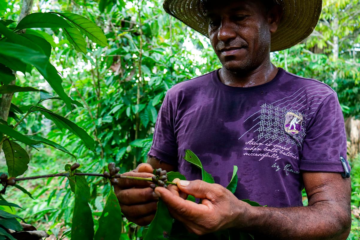 produtor moiss dias mostra seu saf onde cultiva caf_31066026167_o scaled (1)